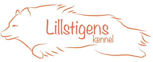 Lillstigen's Kennel